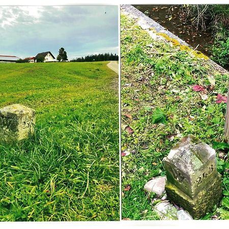 Uebernachtungsmoeglichkeit In Maierhoefen Grunenbach Экстерьер фото